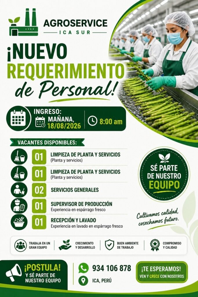 Personal para labores de espárragos en Ica - Imagen 1
