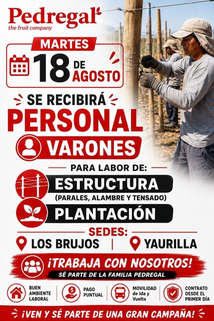 Labores de estructura para personal masculino | Pedregal Ica
