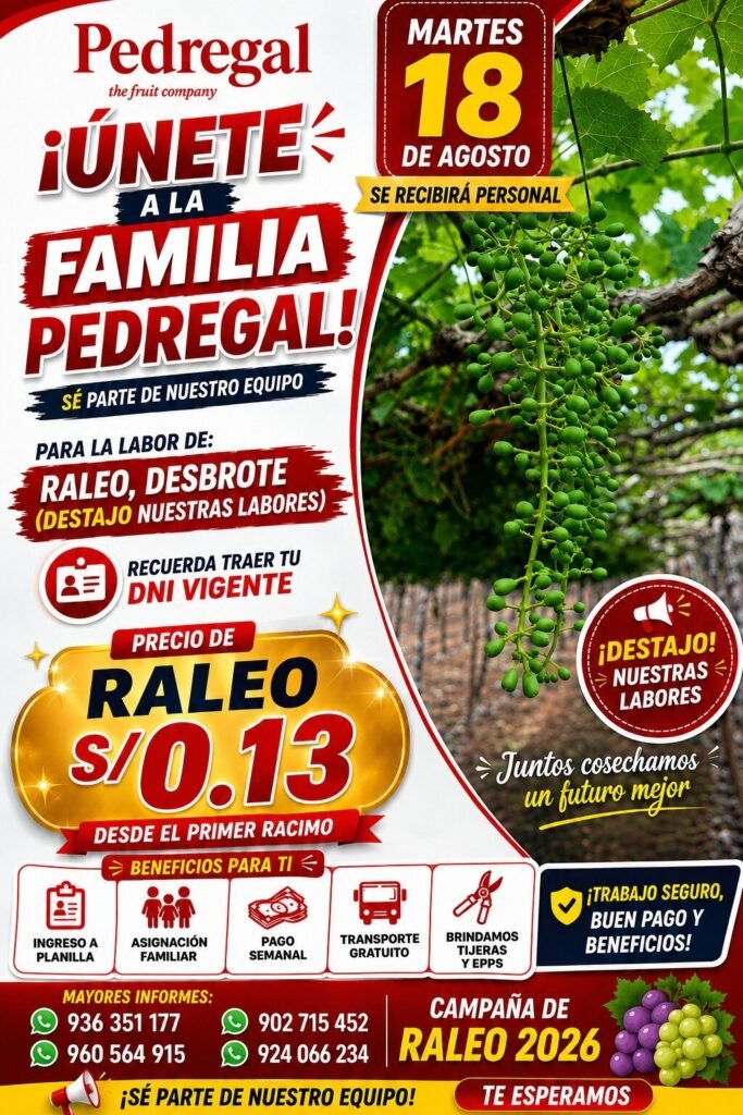 Raleo y desbrote en Pedregal Ica - Imagen 1