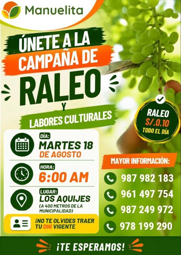 Campaña de raleo en Manuelita Ica
