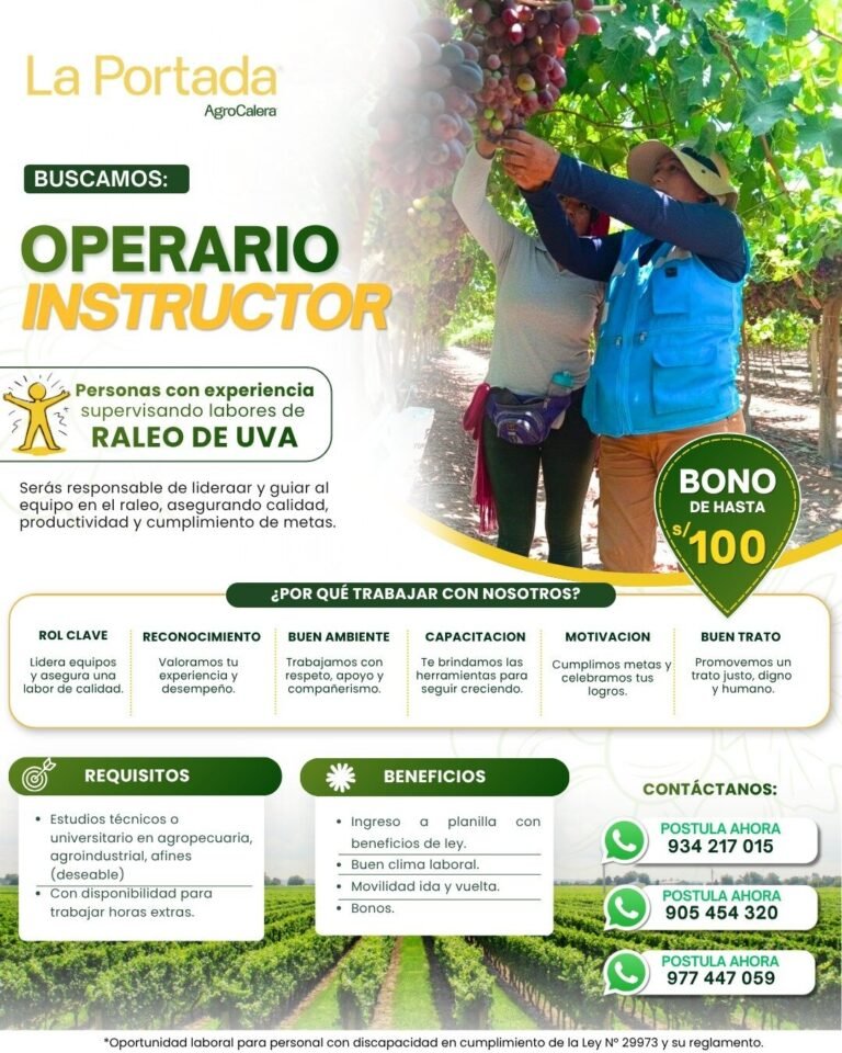 Operarios instructores para supervision de labores de uva