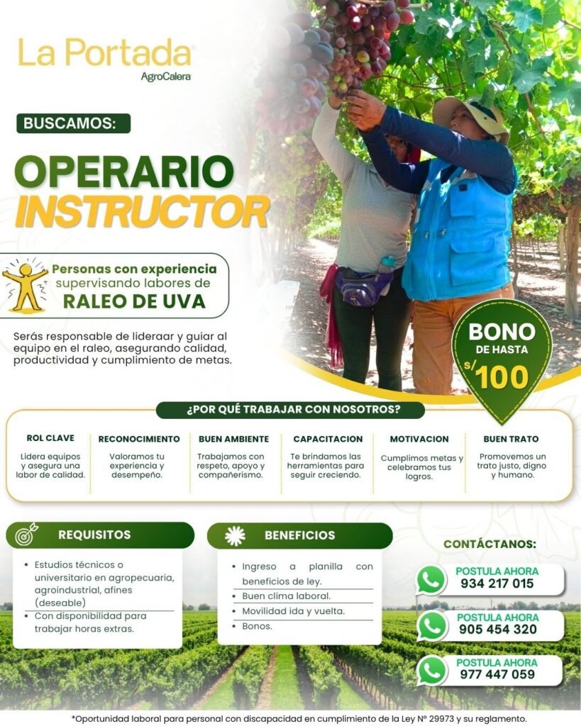 Operarios instructores para supervision de labores de uva - Imagen 1