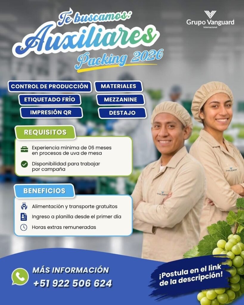 Auxiliares de Packing en Grupo Vanguard - Imagen 1