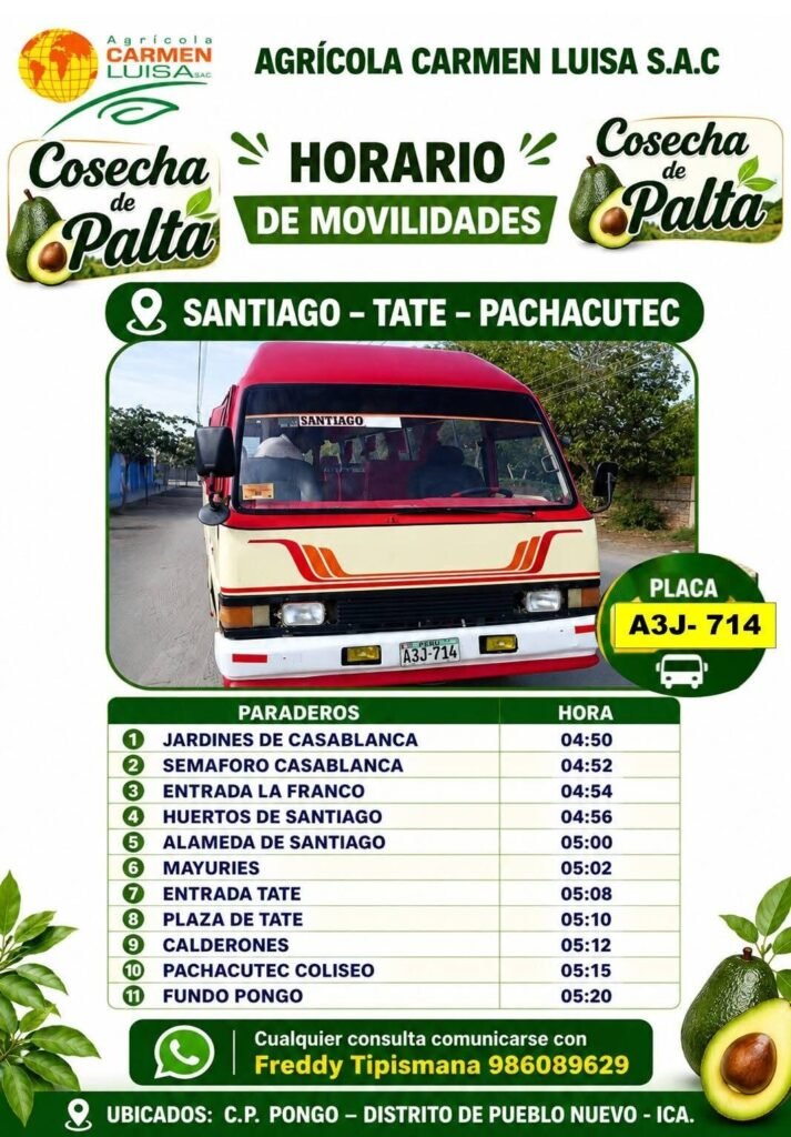 Personal para Cosecha de Palta en Pueblo Nuevo, Ica - Imagen 2