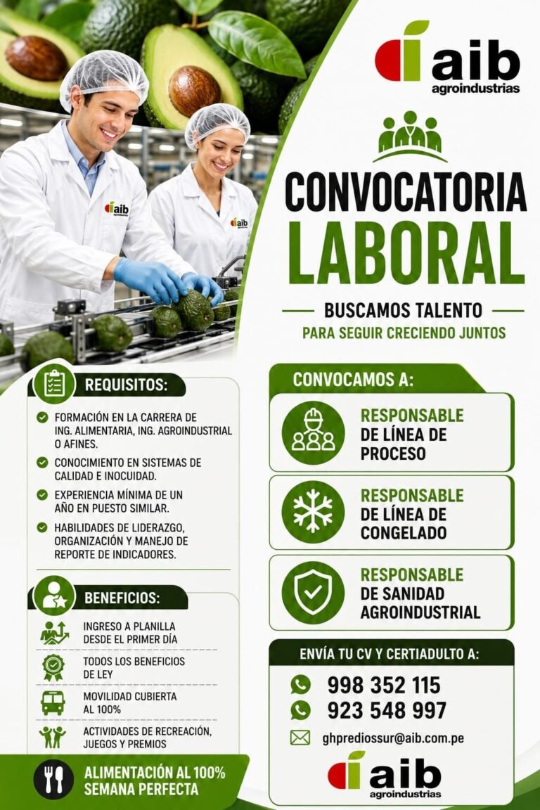 Responsable de Línea de Proceso en Predios Sur, Perú