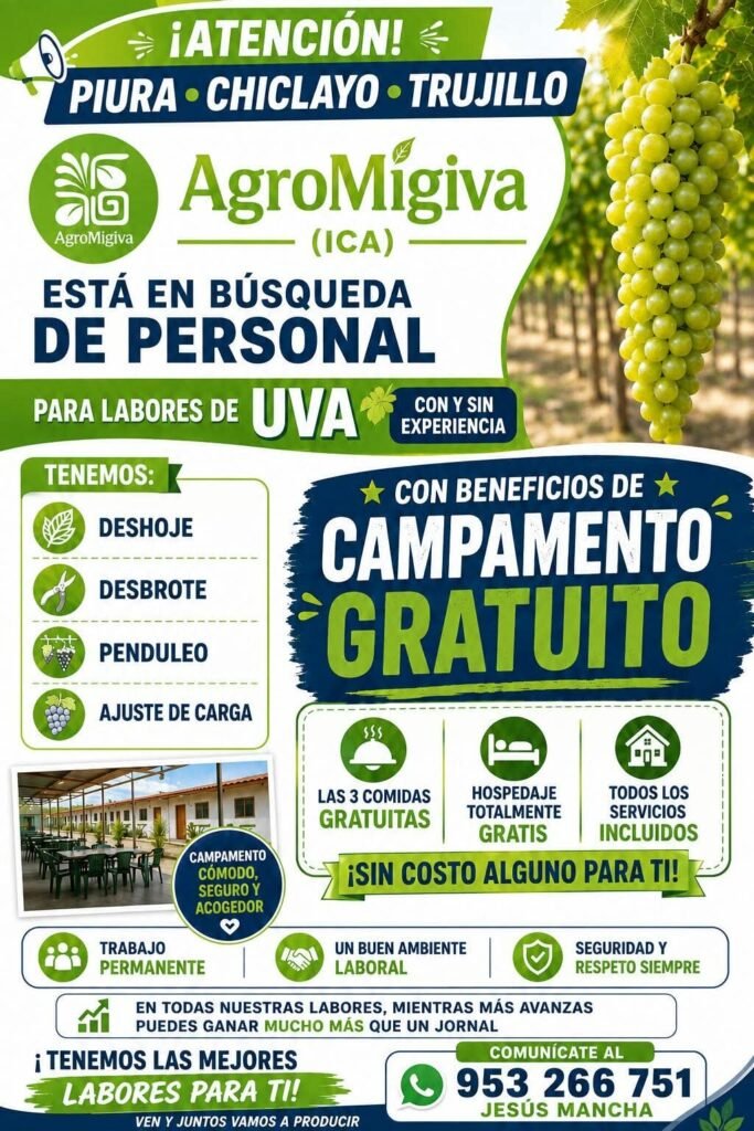 Personal para Labores Agrícolas en Ica - AgroMigiva - Imagen 1