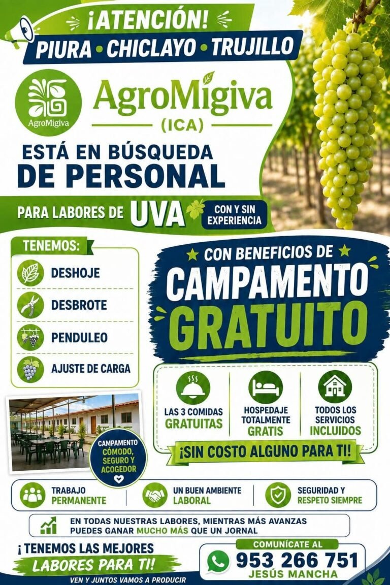 Personal para Labores Agrícolas en Ica – AgroMigiva