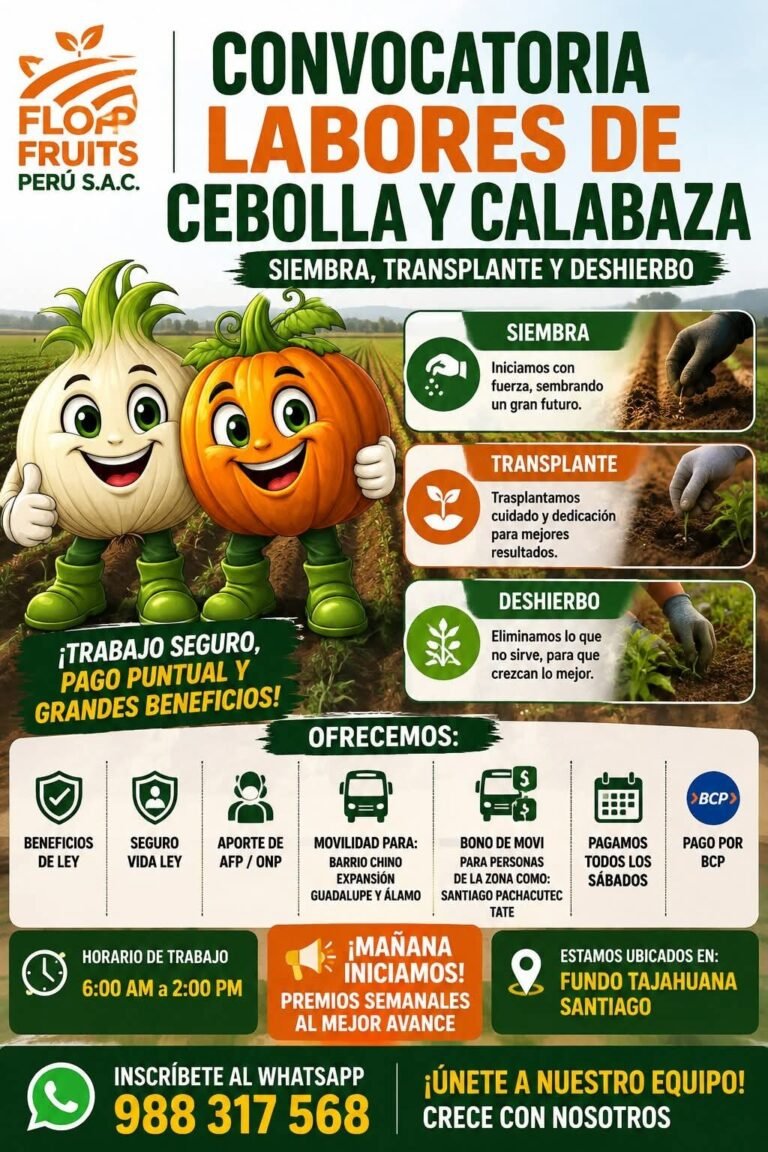 Personal para Siembra y Transplante de Cebolla en Ica
