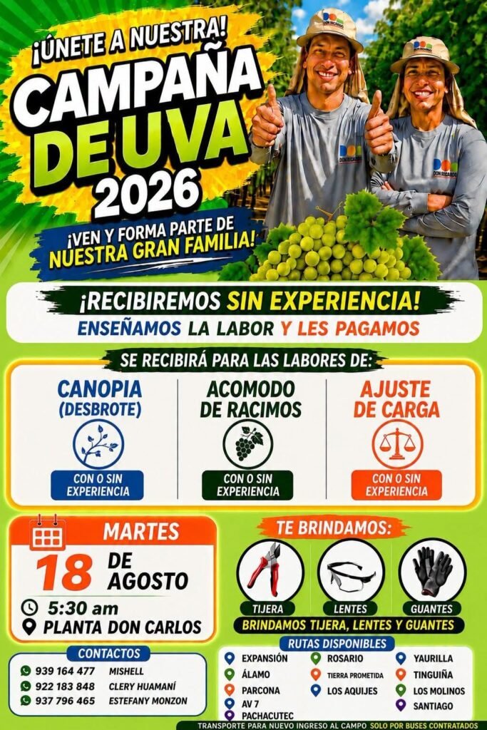 Operarios para Cosecha de Uva en Planta Don Carlos, Ica