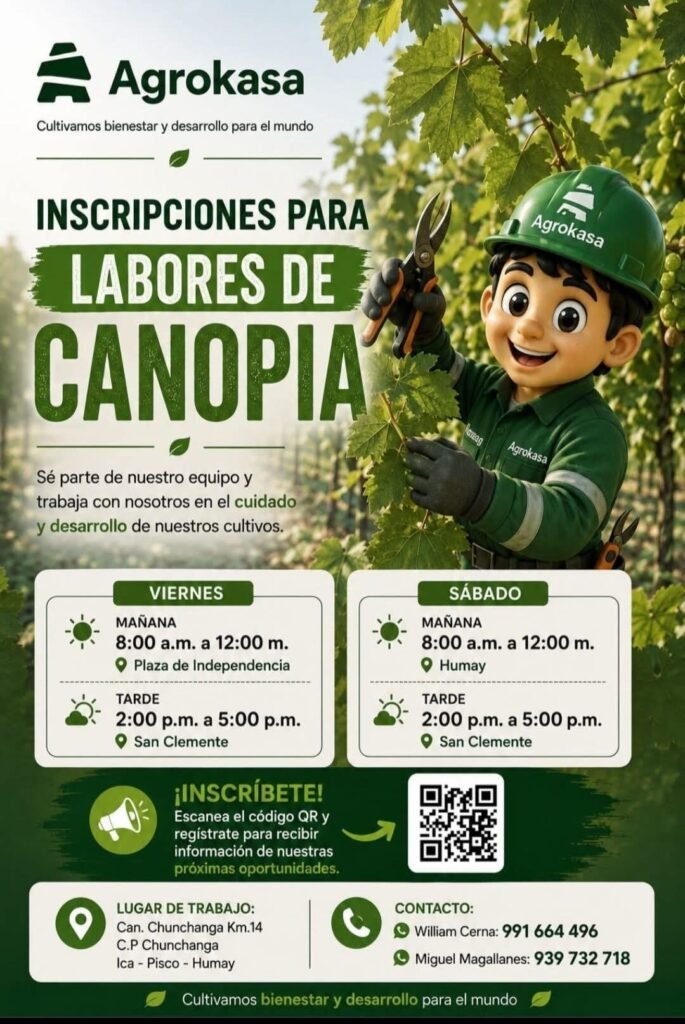 Labores de Canopia Pisco – Humay para Agrokasa
