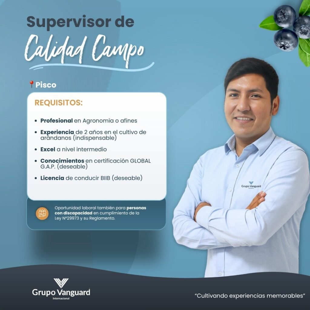 Supervisor de Calidad Campo en Pisco para Grupo Vanguard - Imagen 2