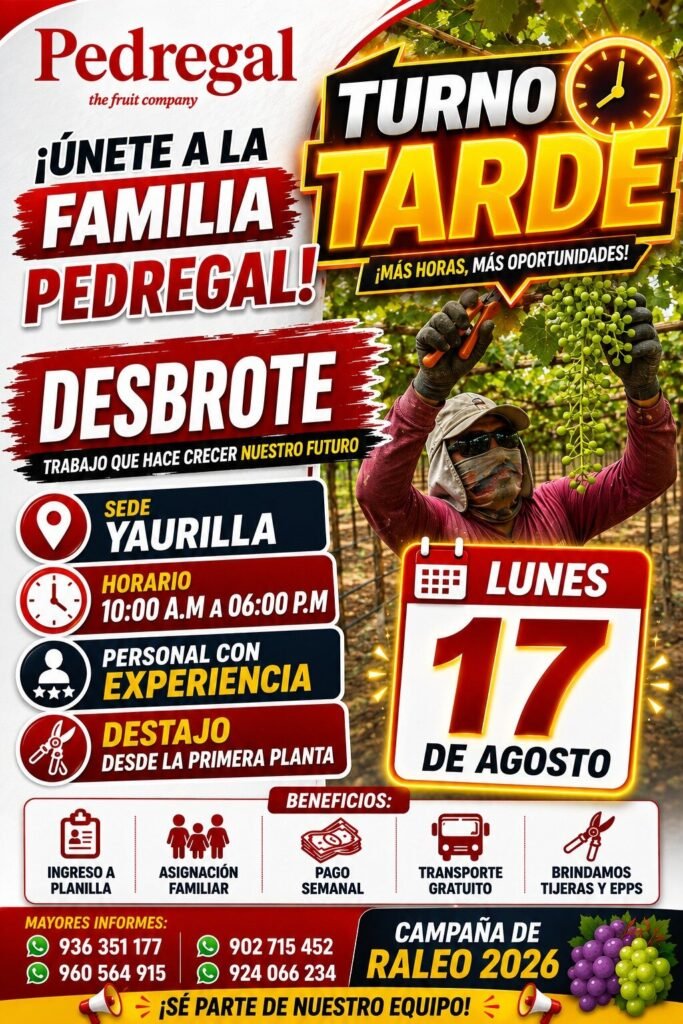 Campaña desbrote turno tarde en Pedregal Ica