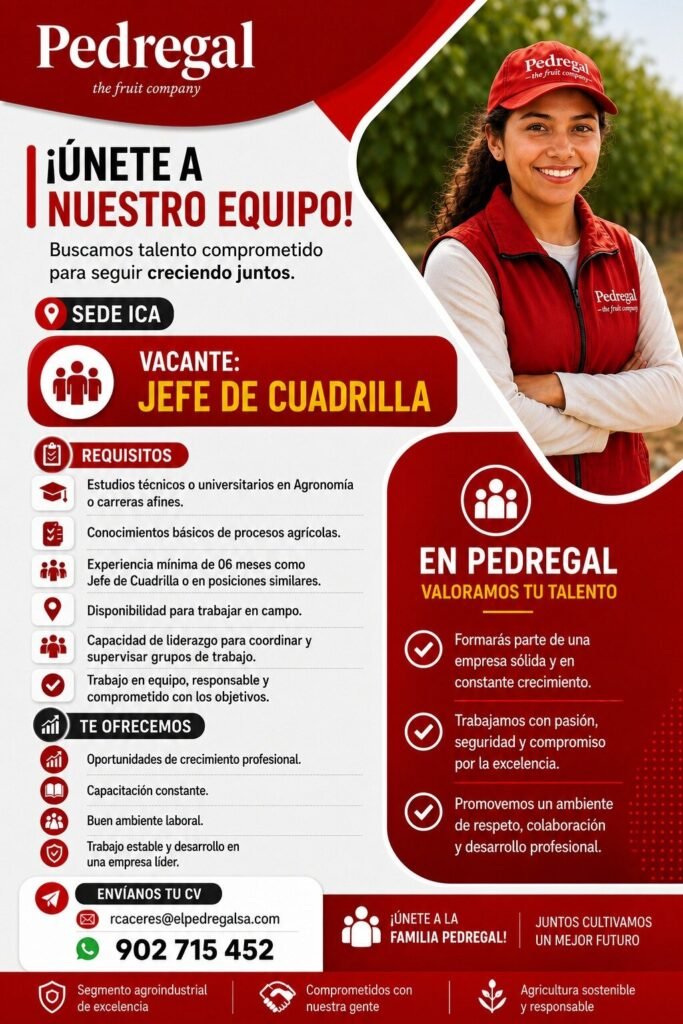 Jefe de Cuadrilla en El Pedregal, Pedregal – Yaurilla