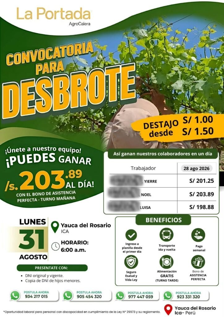Puestos para Desbrote en Yauca del Rosario, Ica