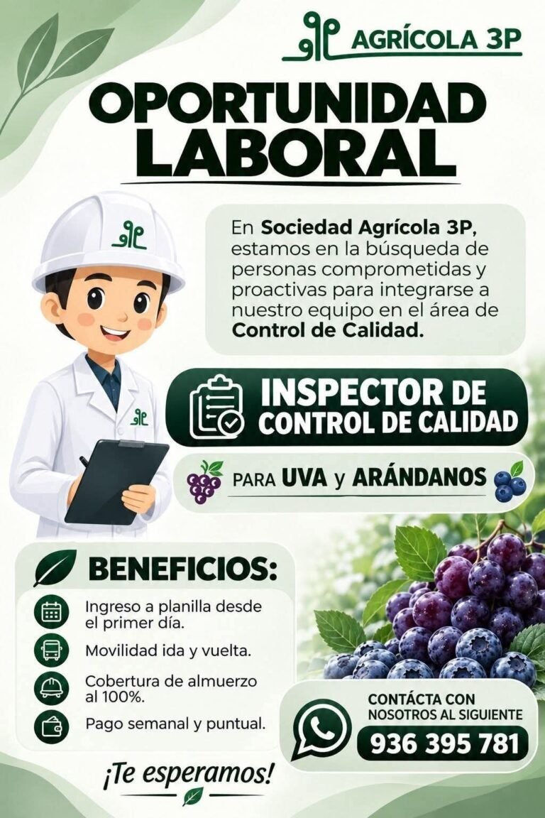Inspector de Control de Calidad para Uva y Arándanos en Ica