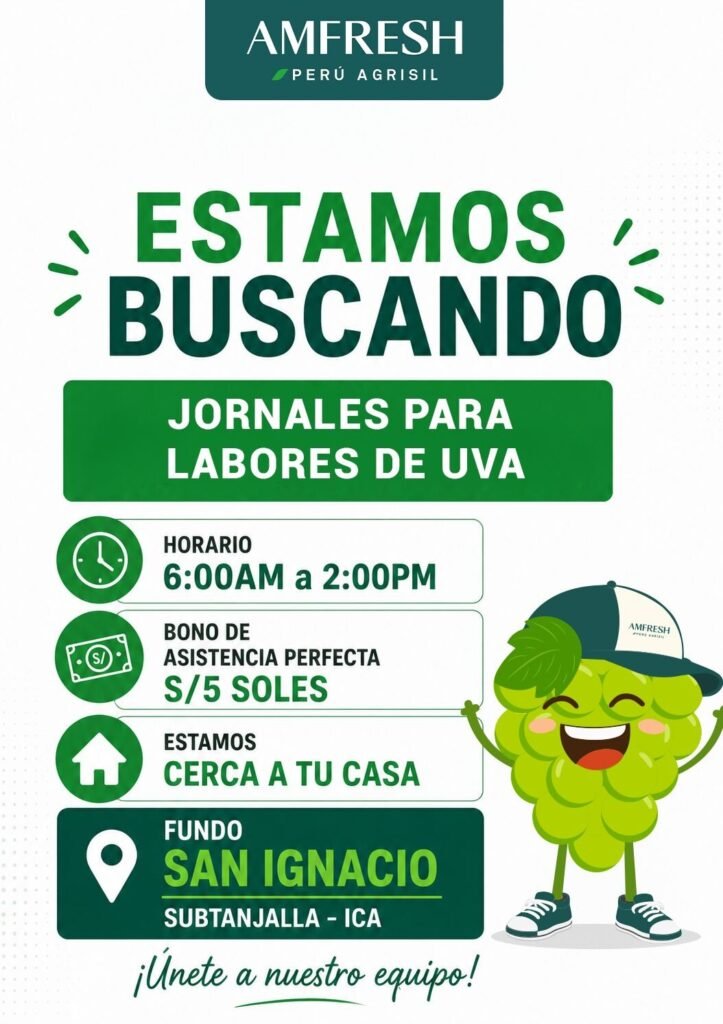 Oportunidades laborales en Amfresh Agrisil - Imagen 2