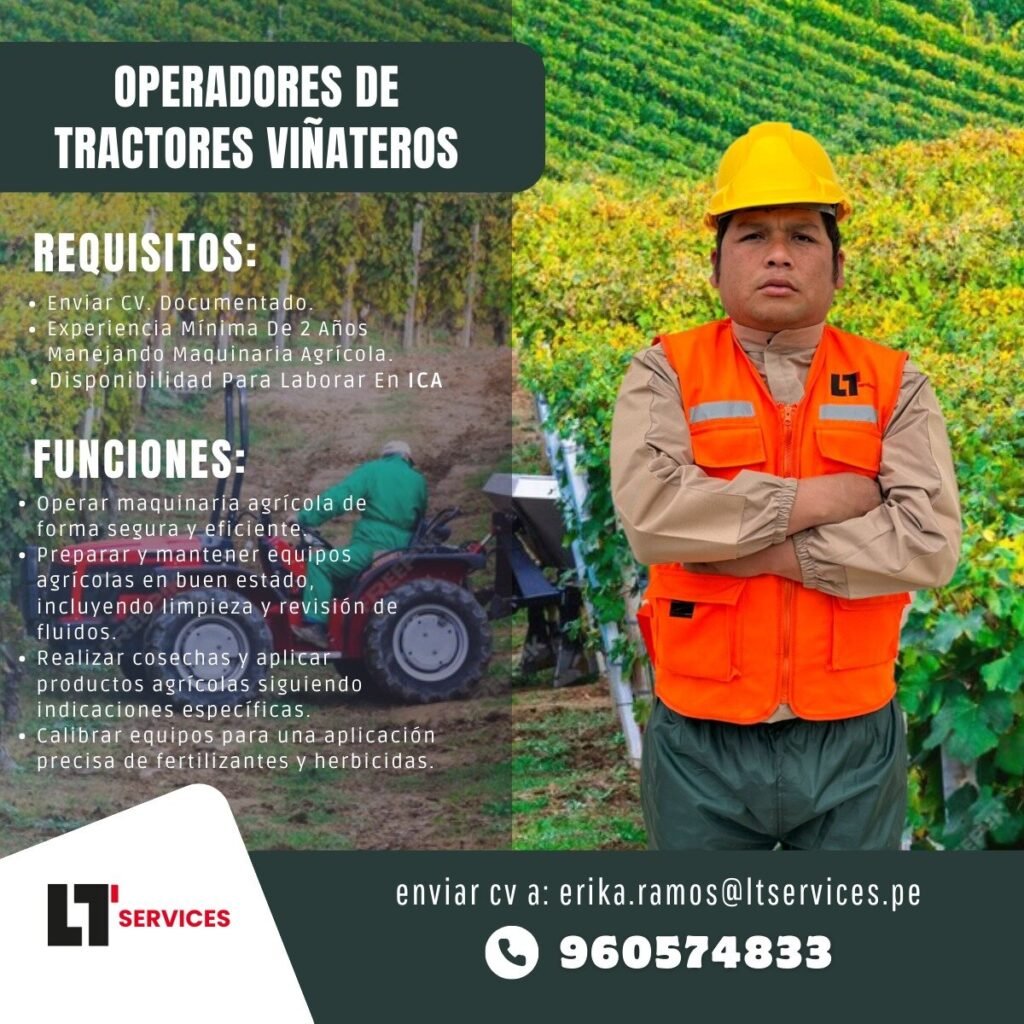 Oportunidades laborales en LT SERVICES - Imagen 2