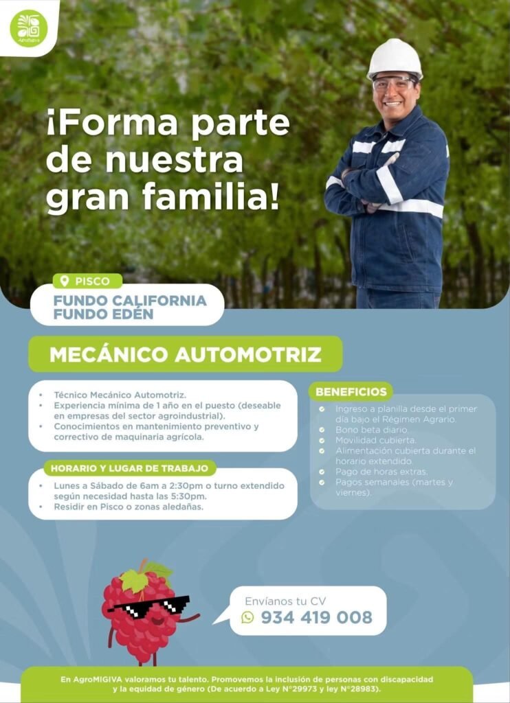 Mecánico de Mantenimiento en Fundo California, Pisco - Imagen 4