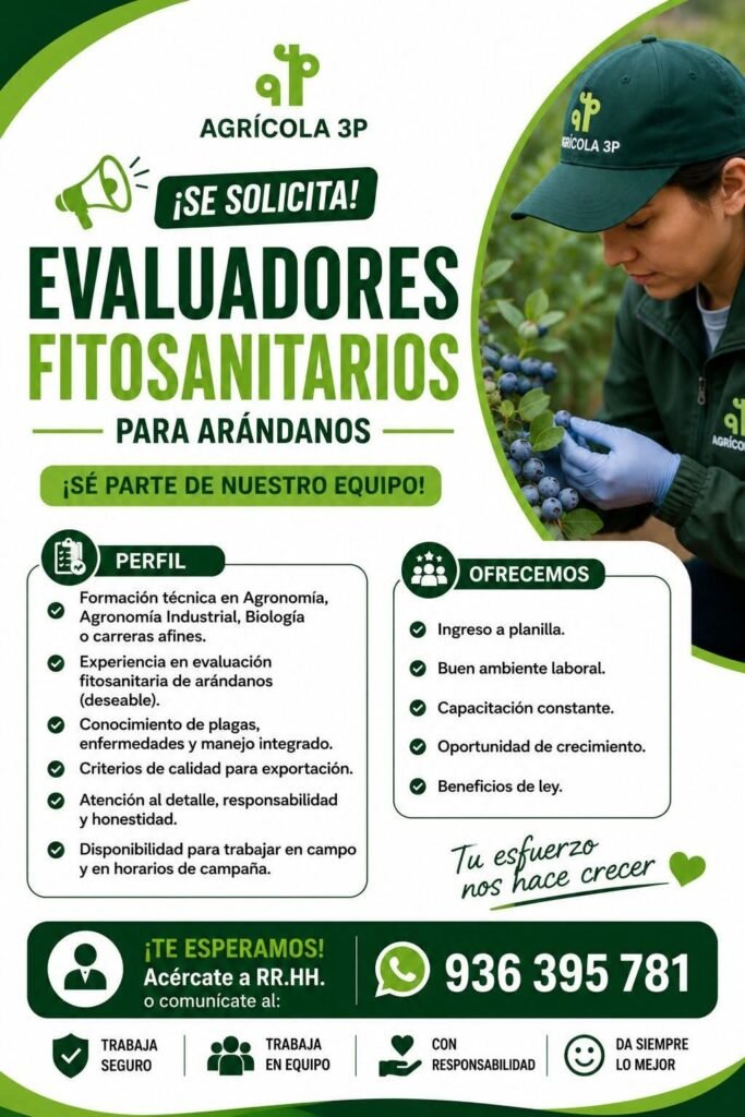 Evaluadores Fitosanitarios para Arándanos en Ica - Imagen 1