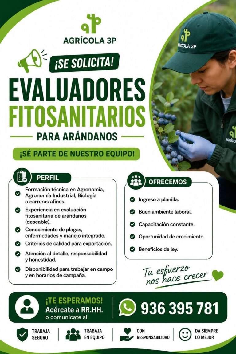 Evaluadores Fitosanitarios para Arándanos en Ica