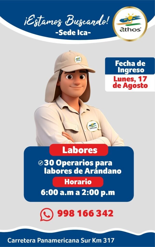 Operarios para Cosecha de Arándano en Santiago, Ica - Imagen 1