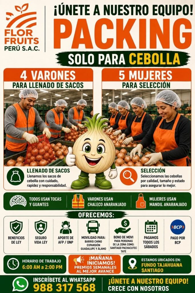 Personal para Siembra y Transplante de Cebolla en Ica - Imagen 2