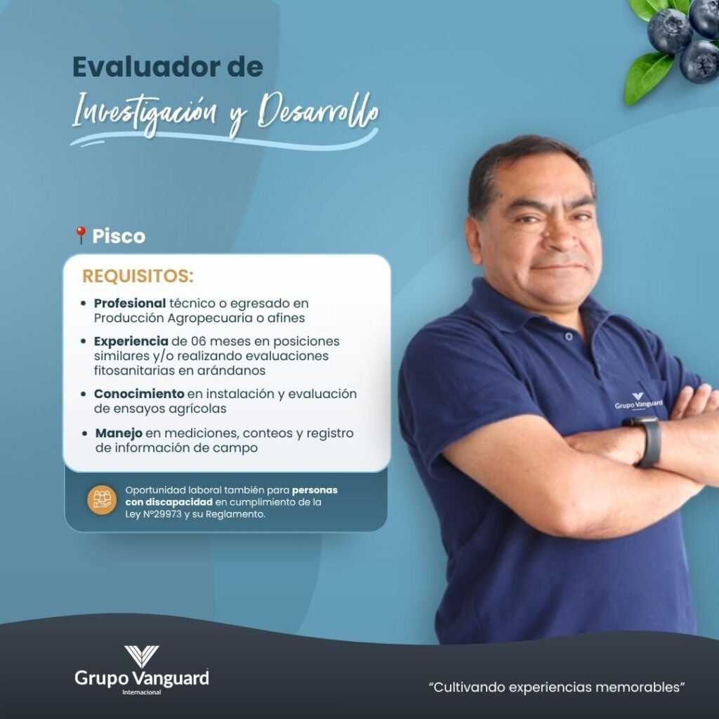 Evaluador de Investigación y Desarrollo - Imagen 1