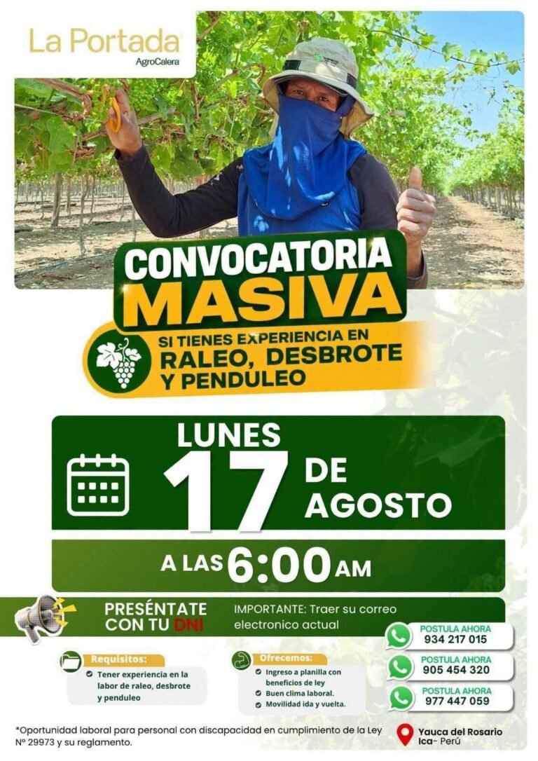 Personal para Raleo, Desbrote y Penduleo en Yauca del Rosario