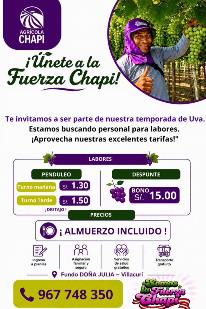 Personal para Penduleo y Despunte de Uva en Villacurí - Imagen 1