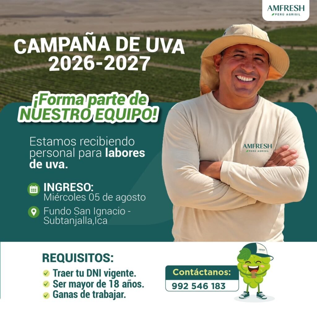 Personal para Campaña de Uva en Fundo San Ignacio, Agrisil
