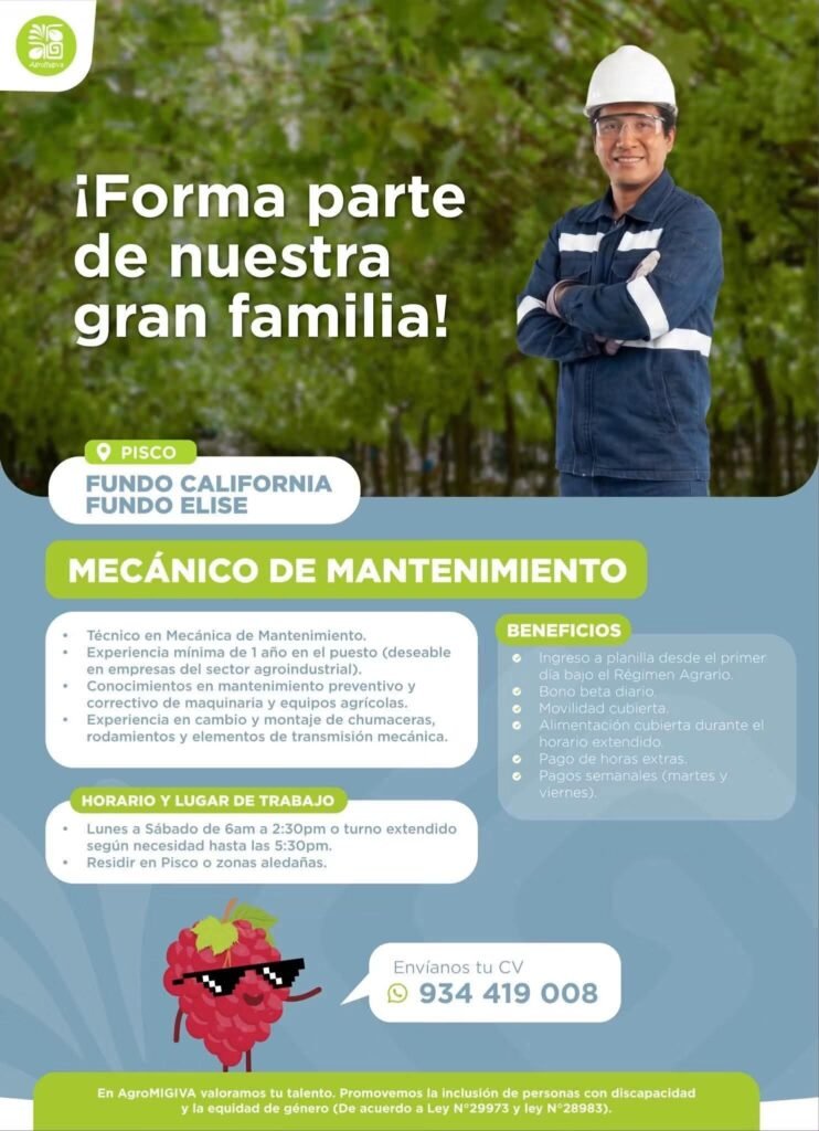 Mecánico de Mantenimiento en Fundo California, Pisco - Imagen 3