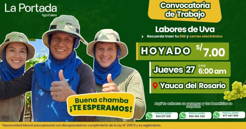Trabajos en Ica para Deshoje y desbrote - Imagen 2