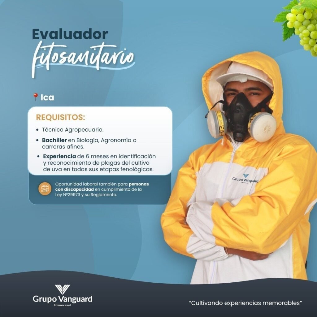 Nuevas oportunidades laborales en grupo Vanguard - Imagen 2
