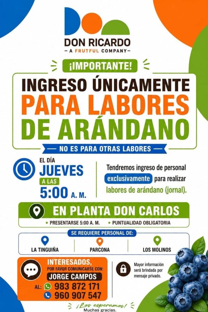 Personal para Labores de Arándano en Don Carlos, Ica - Imagen 1