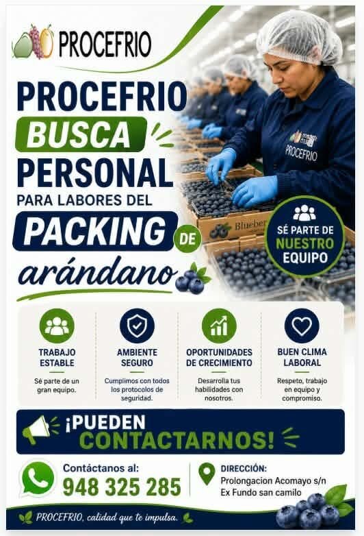 Personal para Labores de Packing