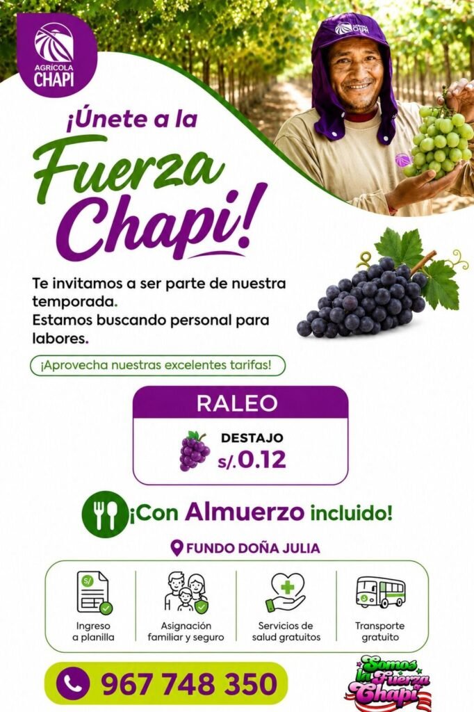Personal para Labores Agrícolas en Fundo Doña Julia, Ica