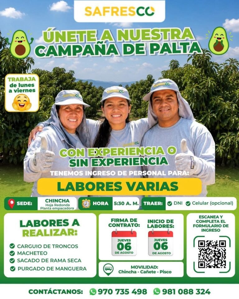 Personal para Labores Agrícolas en Chincha – Campaña de Palta