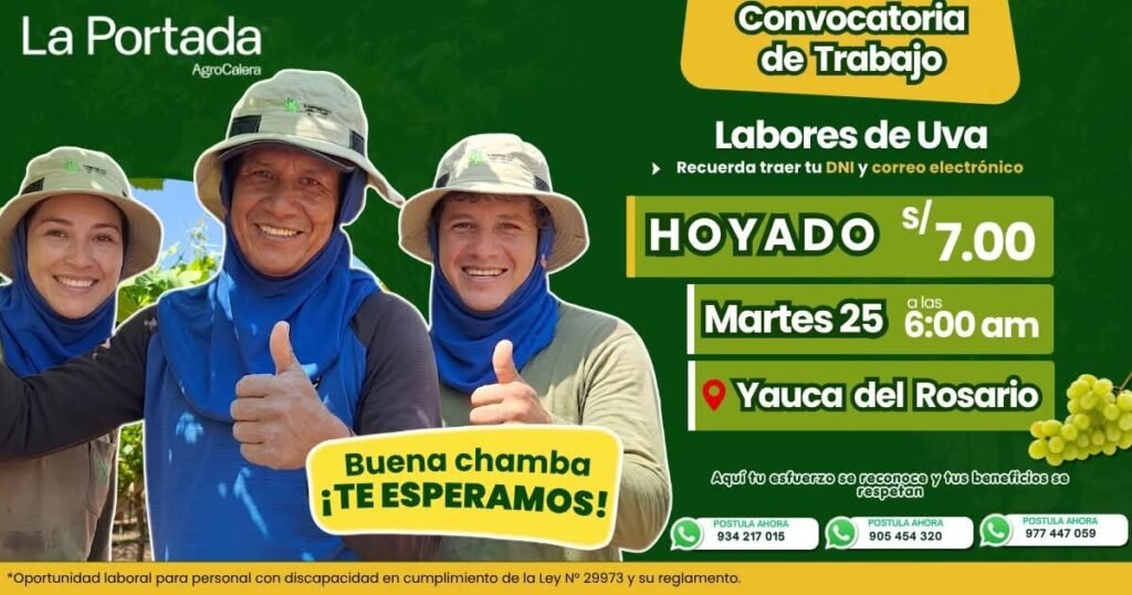 Personal para Labores de Uva en Yauca del Rosario