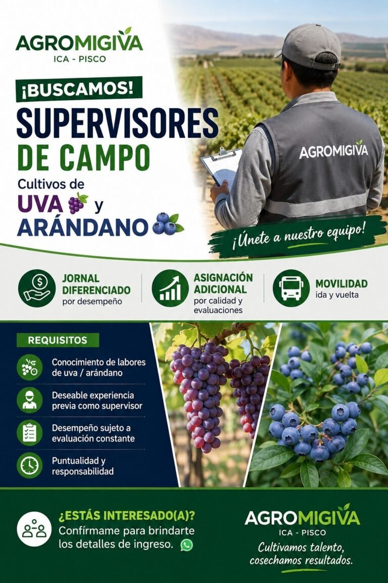 Supervisores de Campo para Cultivos de Uva y Arándano en Ica – Pisco