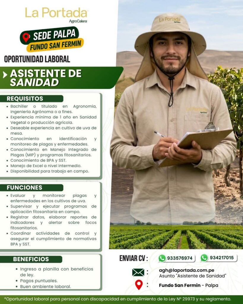 Asistente de Sanidad en Fundo San Fermín, Palpa