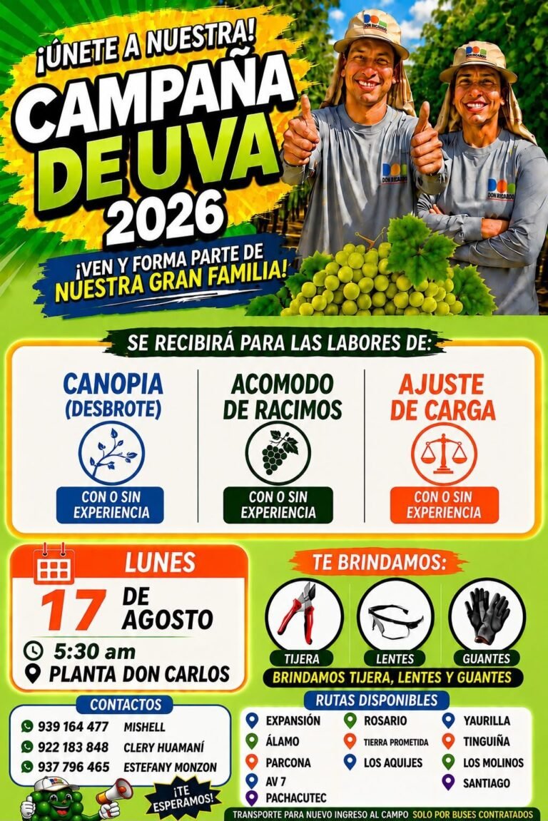 Personal Agrícola para Acomodar Racimos en Canopia