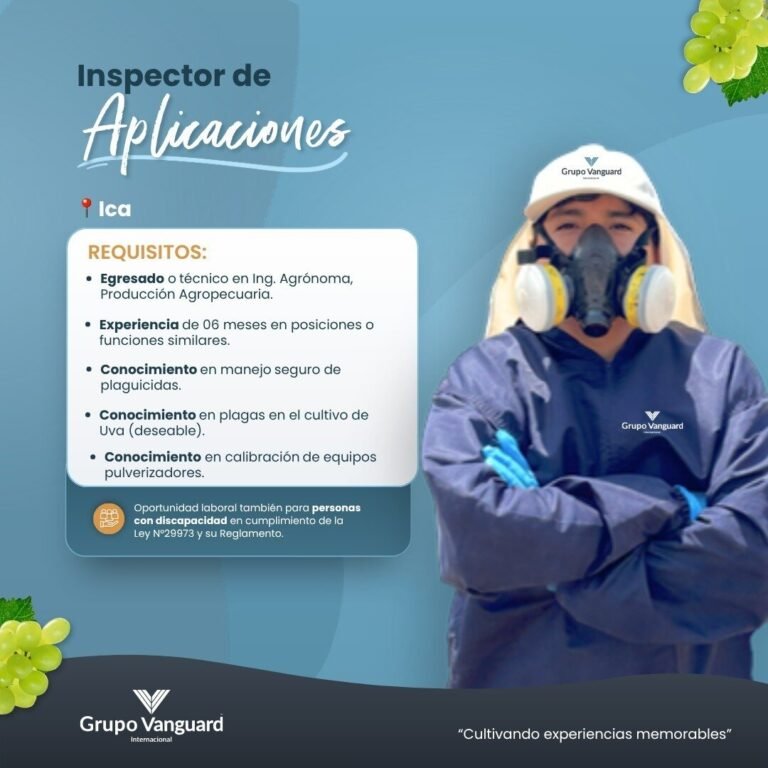 Nuevas oportunidades laborales en grupo Vanguard