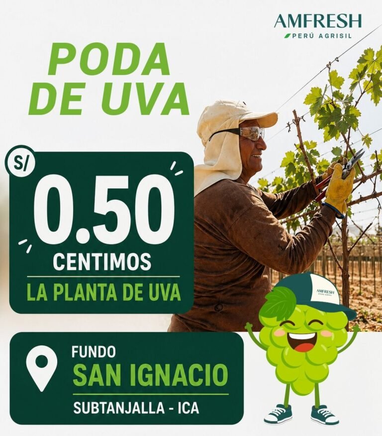 Oportunidades laborales en Amfresh Agrisil