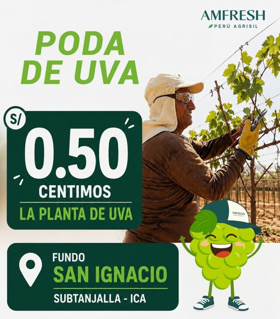 Oportunidades laborales en Amfresh Agrisil - Imagen 1