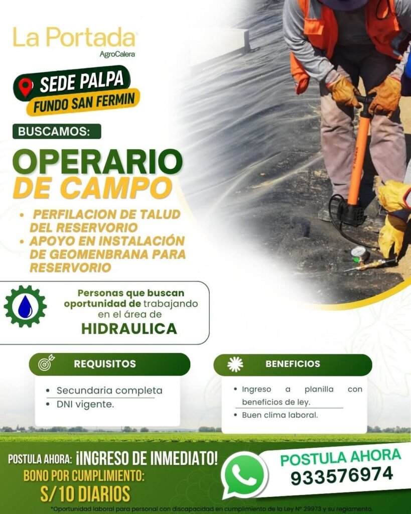 Oportunidades laborales en Palpa