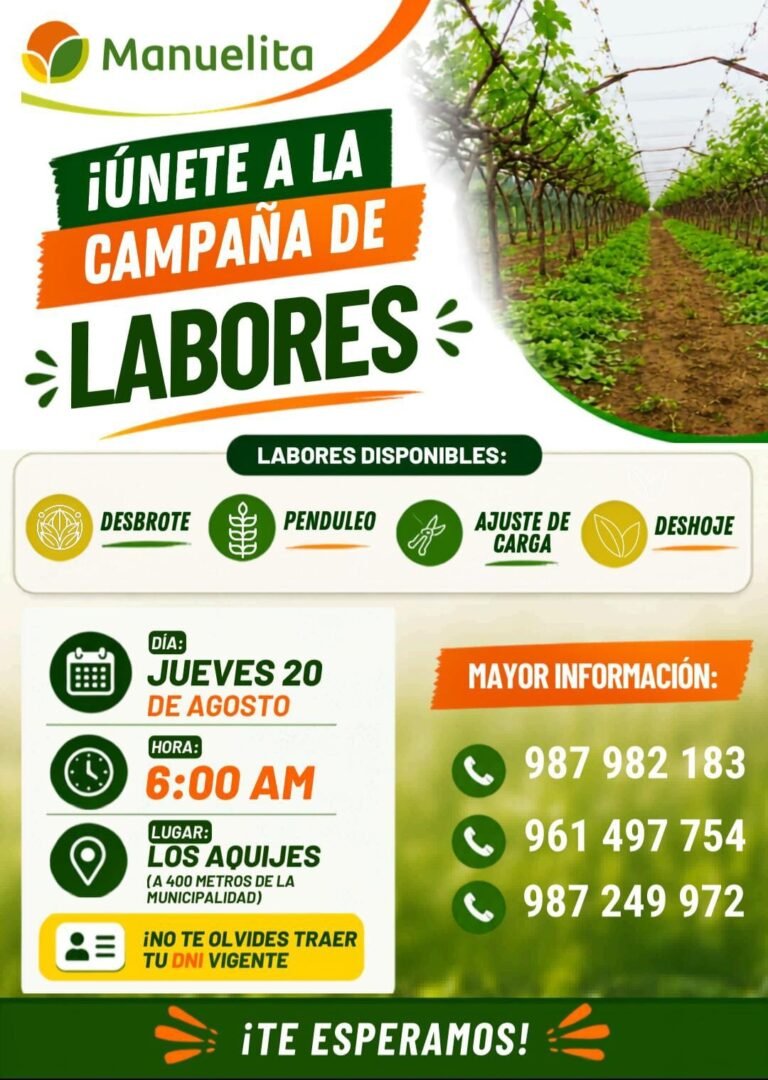 Trabajo en los aquijes Manuelita