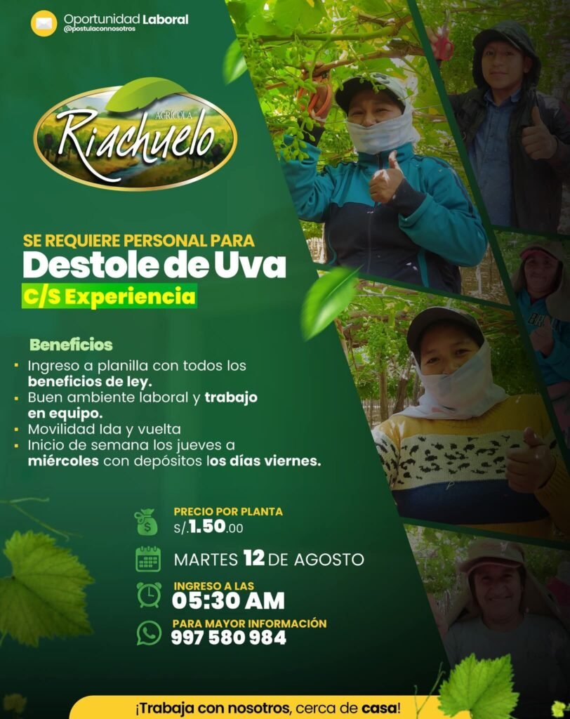 Destole de uva en agricola Riachuelo