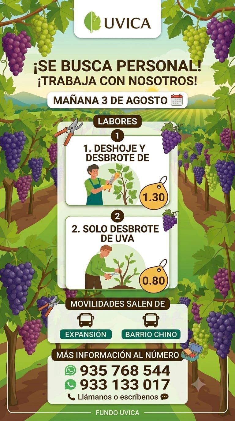 Personal para Labores Agrícolas en Fundo Uvica