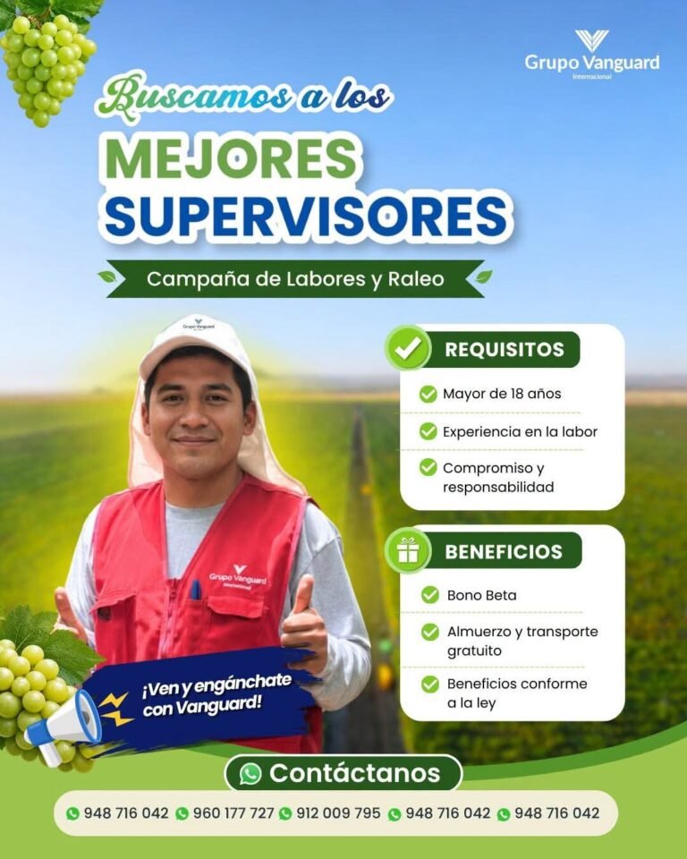 Supervisores para Campaña de Labores y Raleo en Vanguard