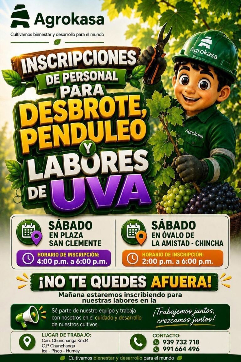 Personal para desbrote, penduleo y otras labores de uva